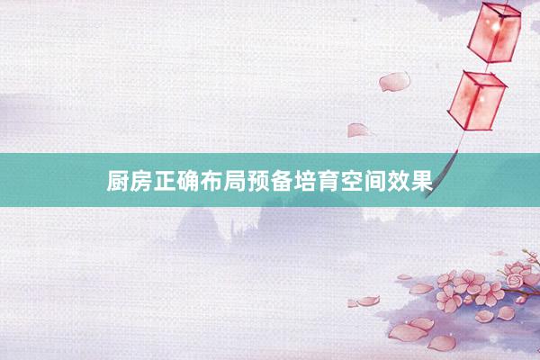 厨房正确布局预备培育空间效果