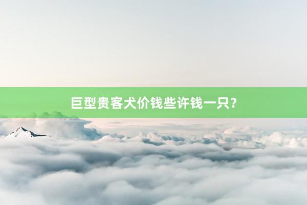 巨型贵客犬价钱些许钱一只？