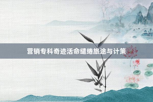 营销专科奇迹活命缱绻旅途与计策